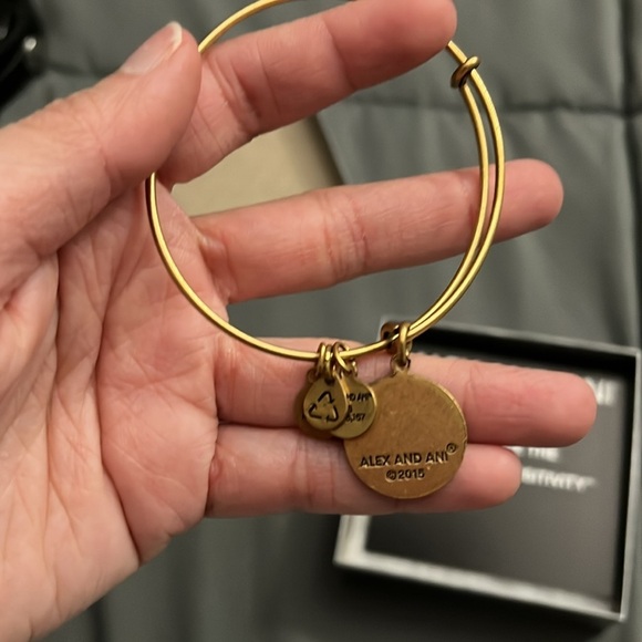 “Alex and Ani: N Initial Bracelet” - Picture 3 of 5